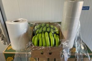 Banana Carton Liners + Perforated Bag Sheets 5