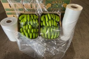 Banana Carton Liners + Perforated Bag Sheets 6