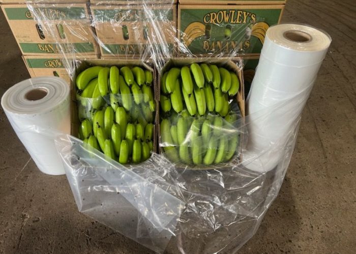 Banana Carton Liners + Perforated Bag Sheets 6