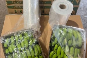 Banana Carton Liners + Perforated Bag Sheets 7
