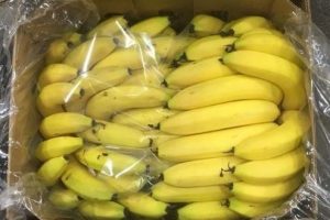Banana Carton Liners + Perforated Bag Sheets 8-cropped