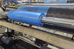 Plastic Manufacturing - Perforated Bags & Sheets - 2