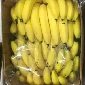 Protects bananas from rubbing against each other in transit.